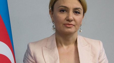 Азербайджан готов поддержать действия ОПЕК+ - Минэнерго