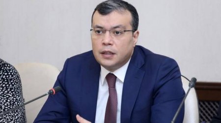 Сахиль Бабаев о задержке во внедрении подсистемы усыновления