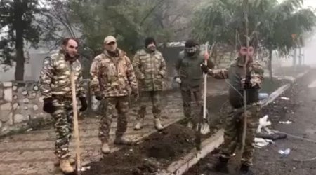 Azərbaycan hərbçiləri Şuşada Xan çinarları əkdi - VİDEO