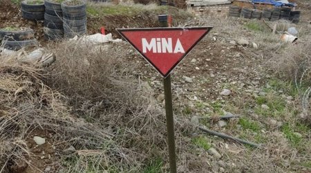 Более 1 700 гектаров территории очищено от мин и боеприпасов