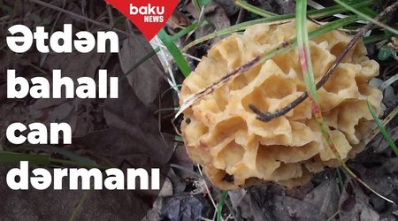 Ətdən bahalı can dərmanı - 1 kiloqramı 35 manatdır – VİDEO