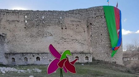 Şuşada Xarı bülbül festivalı keçiriləcək