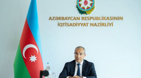 Министр: В этом году предприниматели получили 25 млн манатов льготных кредитов