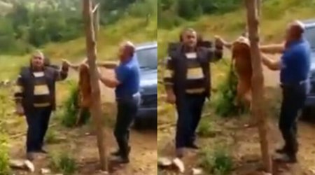 Laçında iki nəfərin cüyür ovlayıb, kef məclisi təşkil etməsi ilə bağlı DİN-dən AÇIQLAMA - VİDEO