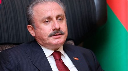 Şentop ortaq türk ordusunun yaradılması ilə bağlı suala hansı cavabı verib? - Video