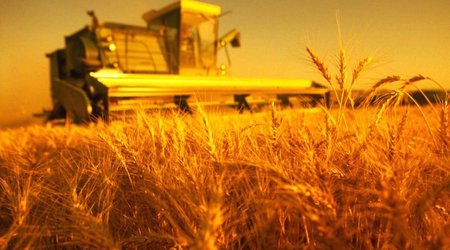 Производство сельхозпродукции в Нахчыване выросло на 3,1%