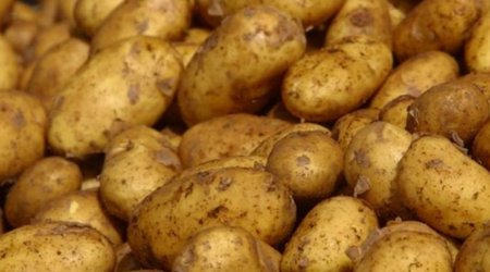 Азербайджан увеличил экспорт картофеля в Россию