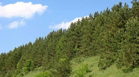 Gəncədə Ekoloji Park Kompleksi yaradılacaq