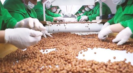 Azerbaijan imports over 80 tons of hazelnuts from Georgia