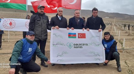 Azərbaycan və Türkiyə daha bir həmrəylik aksiyası keçirdi - FOTOLAR