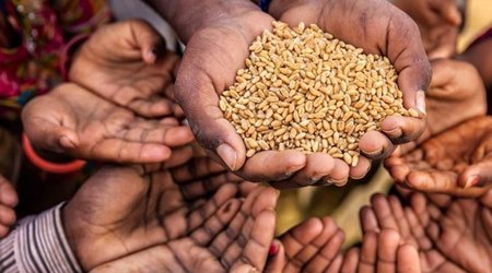 UN: 45 million people in 43 countries at risk of famine