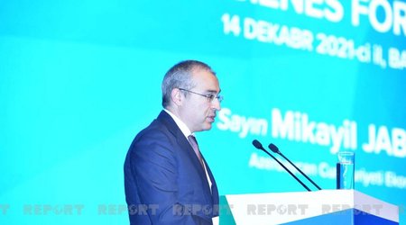Министр экономики: Наши инвестиции в Турцию превышают 19 млрд долларов