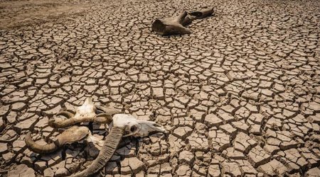 Somalia hit by strongest drought in 40 years