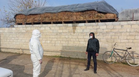 Sabirabadda koronavirus xəstəsinin törətdiyi əməl araşdırılır - FOTO