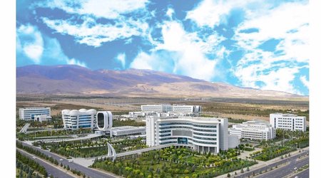 New areas of Turkmenistan-WHO cooperation identified