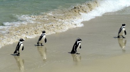 Oceans were warmest on record in 2021, scientists say