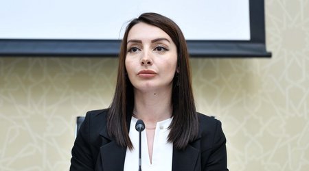 Лейла Абдуллаева прокомментировала высказывание главы МИД Армении