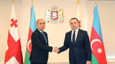 Təhsil naziri Gürcüstanın Baş naziri ilə görüşüb