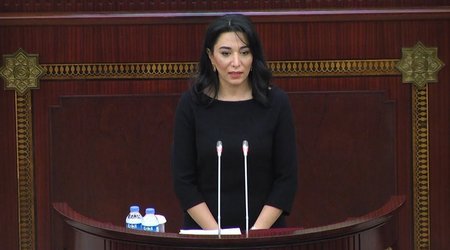 Ombudsmanın illik məruzəsi müzakirəyə çıxarılıb