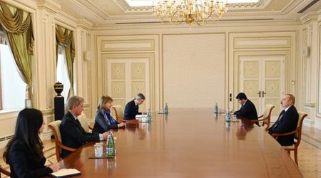 Баронесса Николсон: состоялась отличная встреча с президентом Азербайджана