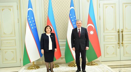 Özbəkistan Prezidenti Sahibə Qafarovanı qəbul etdi