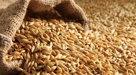 4.5 million tons of grain remain trapped in Ukrainian ports