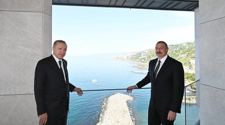 Депутат: Сегодня мы видим сильную Турцию