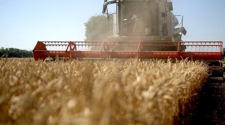 Israel to provide Azerbaijan with technology for growing wheat