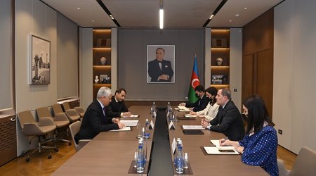 Глава МИД Азербайджана встретился с генсеком ОЭС