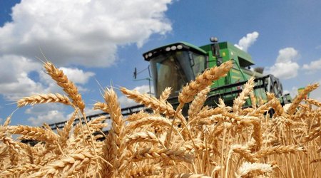 UN suggests easing anti-Russian sanctions in exchange for unblocking Ukraine grain
