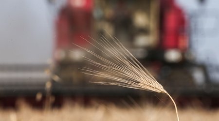 US may lift sanctions from Belarus in exchange for grain export from Ukraine