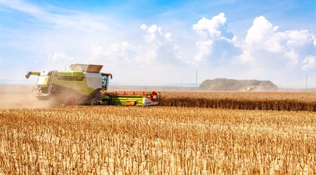 UK Intelligence: Significant supplies of Ukrainian grain can't be exported