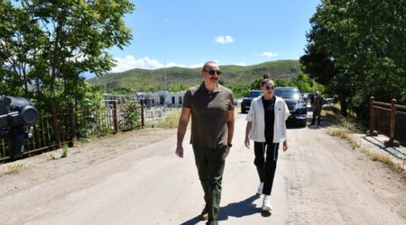 Алиевы ознакомились с фруктовым садом в Зангилане