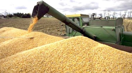 Ukrainian embassy says Russia ships 'stolen' wheat to Syria