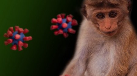 Portugal records over 150 monkeypox cases