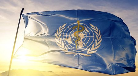 WHO: Risk of monkeypox becoming established in other non-endemic countries is real