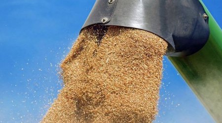 Grain exports from Ukraine down 55.5%