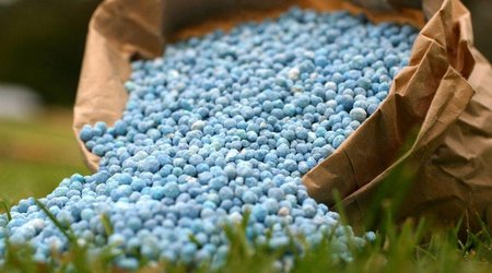 Azerbaijan may increase exports of non-oil products to Uzbekistan