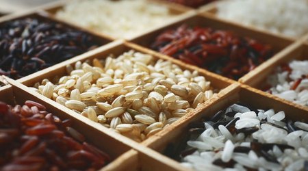 Russia restricts exports of rice, feed amino acids