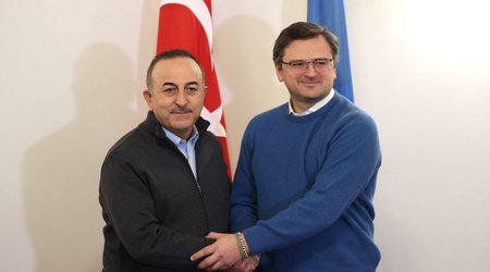 Cavusoglu, Kuleba hold phone conversation