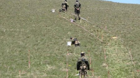 Media: Turkiye-Armenia border cleared of mines