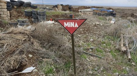 ANAMA reveals number of mines detected in 24 years