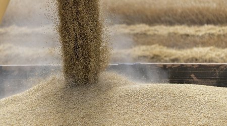 World Food Program plans to buy Ukrainian wheat