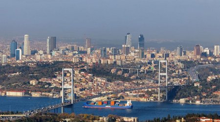 Staff that will inspect ship carrying Ukrainian grain arrives in Istanbul