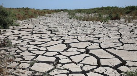 Guardian: European drought could become worst in 500 years