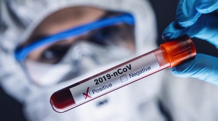 WHO: Weekly COVID-19 cases decrease by 24%