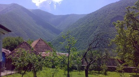 В Шеки горит лес