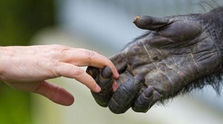 Monkeypox reaches all 50 US states