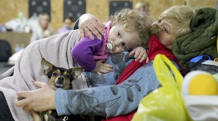 UN: Europe receives over 6.8 million refugees from Ukraine