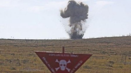 Генпрокурор: В Губадлинском районе при подрыве на мине пострадал сотрудник ANAMA